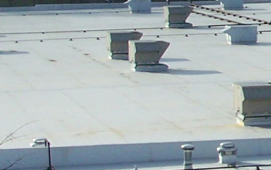 photo of roof